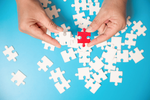 19 نکته برای آشنایی با سگ باسنجی و خصوصیات آن