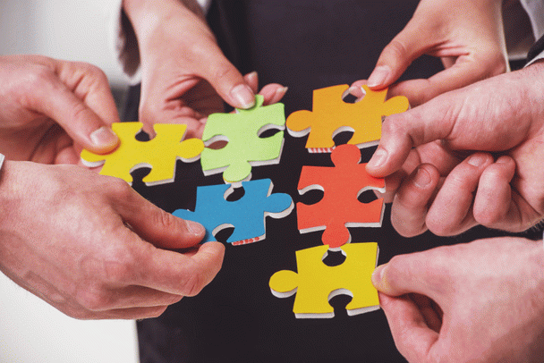 17 نکته کلیدی در تغذیه طوطی گرینچیک شما