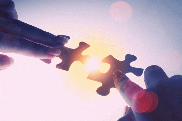 19 نکته‌ای که قبل از خرید طوطی راهب (کواکر) باید بدانید!